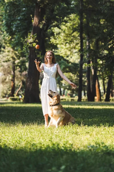 Full length view of beautiful girl in white dress playing ball with golden retriever on meadow — Stock Photo