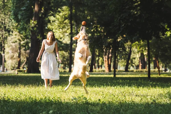 Full length view of beautiful young girl in white dress looking at jumping golden retriever on meadow — Stock Photo