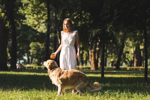 Visão de comprimento total da bela jovem no vestido branco jogando com golden retriever no prado — Fotografia de Stock