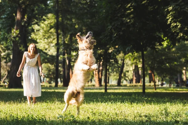 Vista de longitud completa de la joven en vestido blanco sonriendo y mirando saltar golden retriever en el prado - foto de stock