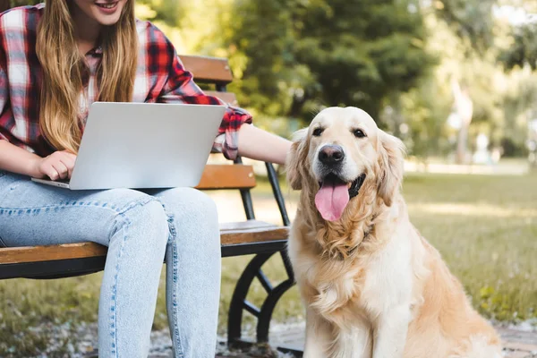 Cropped view of girl in casual clothes sitting on wooden bench in park and using laptop while petting golden retriever — Stock Photo
