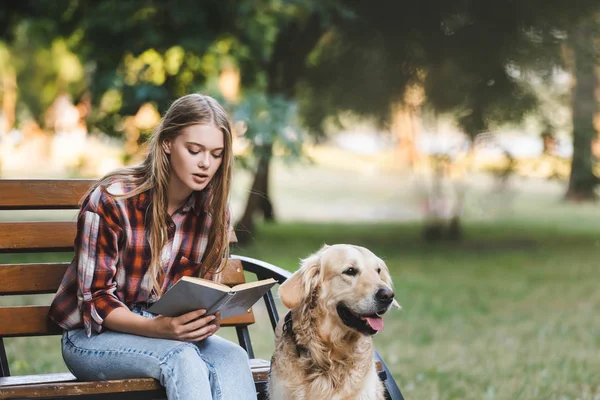 Hermosa chica en ropa casual sentado en banco de madera en el parque y libro de lectura cerca de golden retriever - foto de stock