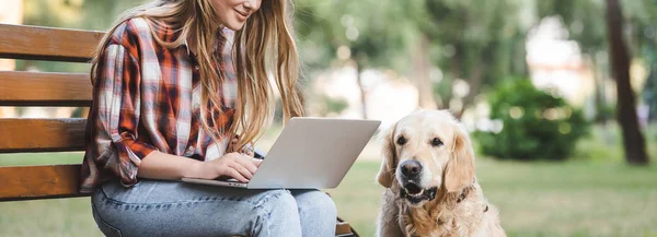 Tiro panorâmico de menina bonita em roupas casuais usando laptop enquanto sentado em banco de madeira no parque perto golden retriever — Fotografia de Stock