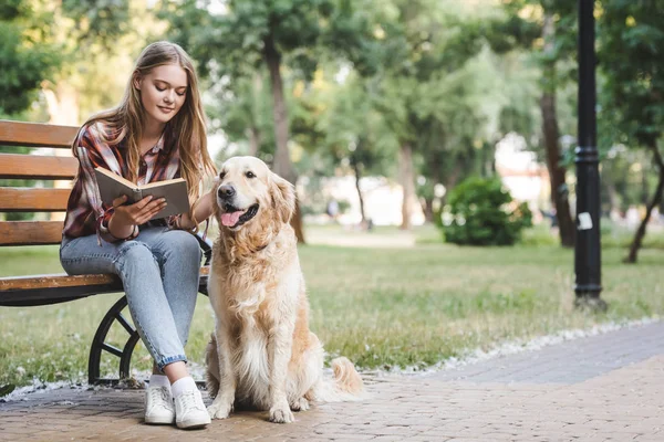 Full length view of beautiful girl in casual clothes reading book and petting golden retriever while sitting on wooden bench — Stock Photo