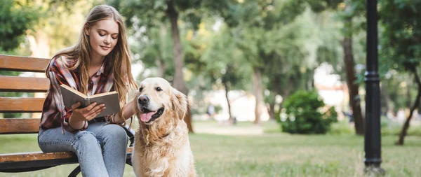 Plano panorámico de hermosa chica en ropa casual libro de lectura y acariciar golden retriever mientras está sentado en el banco de madera - foto de stock