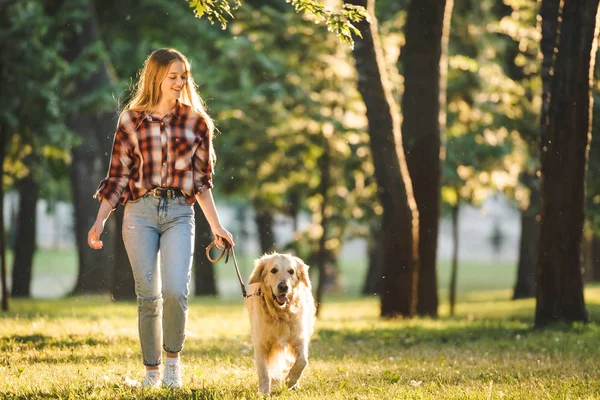 Full length view of girl in casual clothes walking with golden retriever on meadow in sunlight — Stock Photo