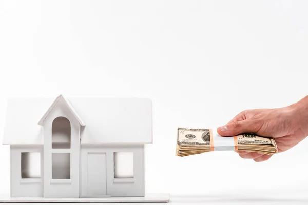 Обрезанный вид человека с долларовыми банкнотами возле картонного дома на белом — стоковое фото