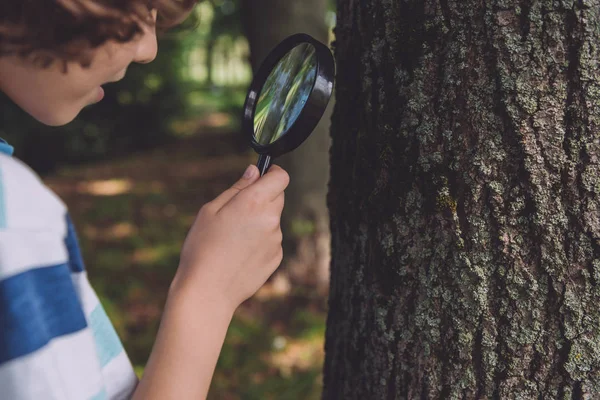 Cropped view of boy looking through magnifier while standing near tree trunk — Stock Photo