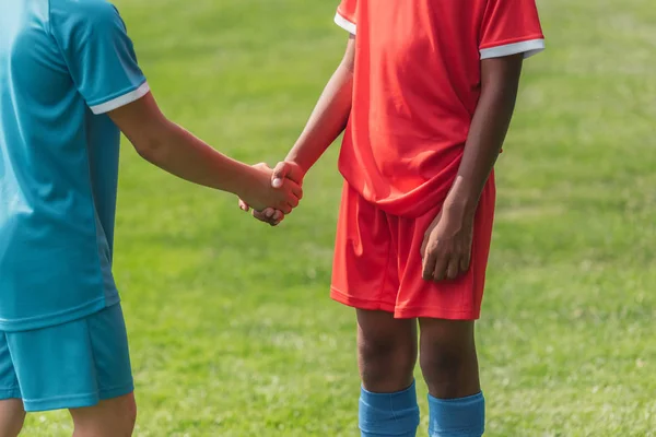 Cropped view of multicultural kids shaking hands — Stock Photo
