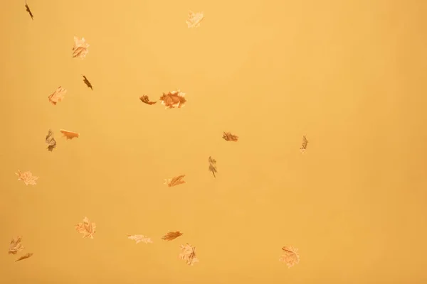 Goldene Ahornblätter fallen vereinzelt auf gelb — Stockfoto