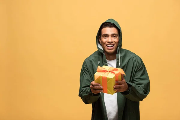 Sonriente hombre de raza mixta en impermeable y botas de goma sosteniendo caja de regalo aislado en amarillo - foto de stock