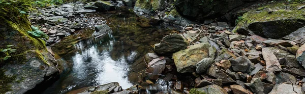 Панорамный снимок зеленой плесени на камнях возле реки — стоковое фото