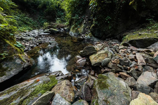 Green mold on stones near river in park — Stock Photo