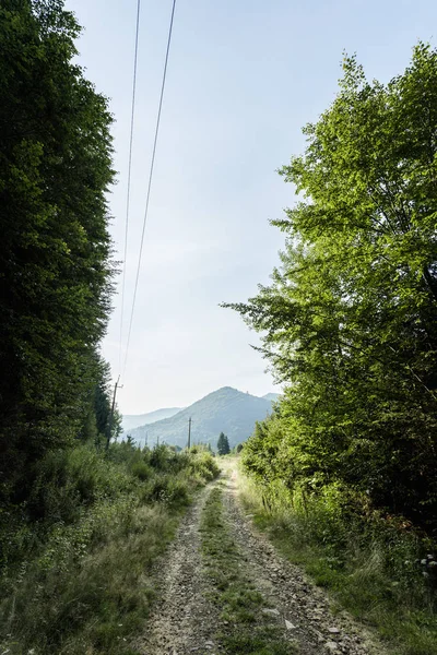 Green trees near mountains against blue sky — Stock Photo