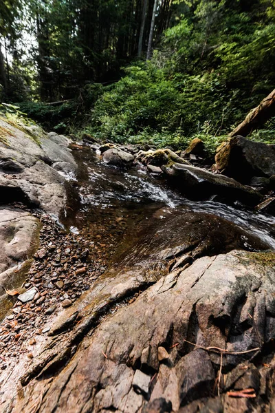 Річка тече біля мокрих скель і зелених дерев — стокове фото