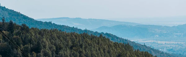 Panoramic shot of mountains near green trees — Stock Photo