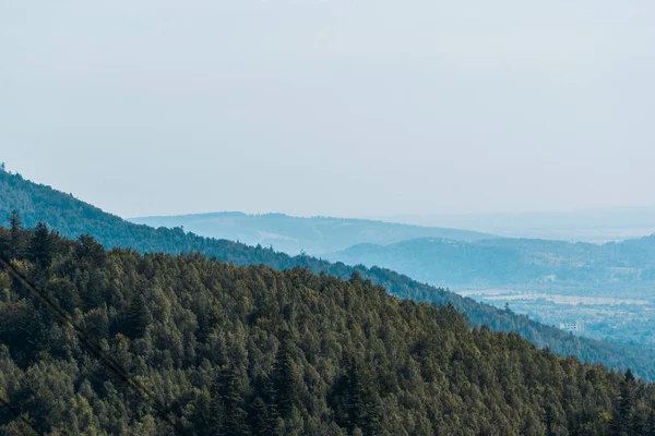 Montanhas perto de árvores verdes contra o céu azul — Fotografia de Stock