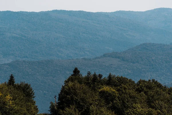 Тихі гори біля зелених дерев на фоні неба — стокове фото
