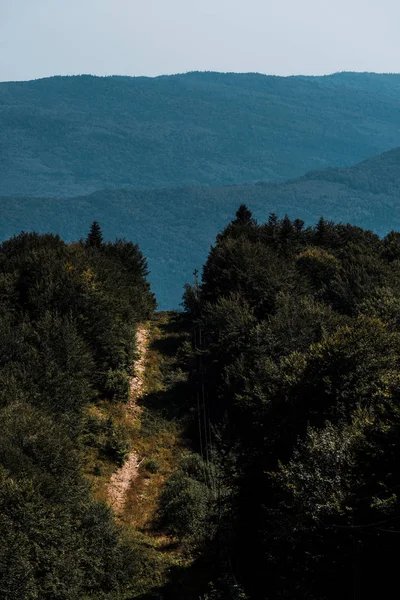 Pfad in der Nähe grüner Bäume und ruhiger Berge — Stockfoto