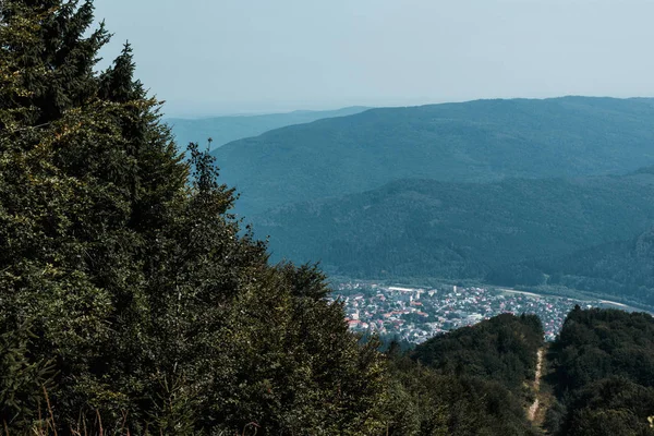 Arbres verts près des montagnes contre ciel bleu avec des nuages — Photo de stock