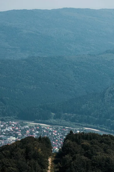 Vista aerea di alberi verdi vicino passerella in montagna — Foto stock