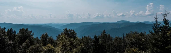 Colpo panoramico di alberi e montagne contro il cielo con nuvole — Foto stock