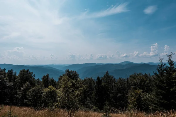 Green trees and mountains against sky with clouds — Stock Photo