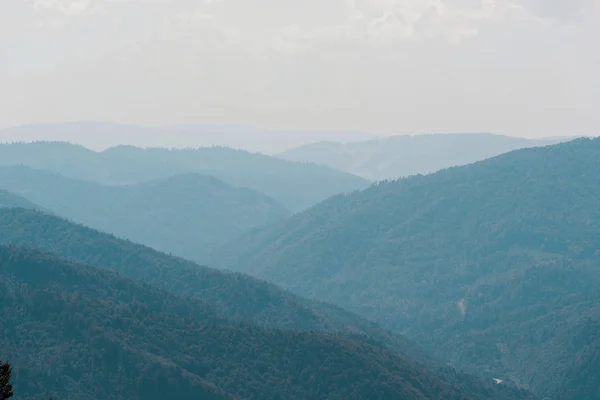 Живописная горная долина с зелеными деревьями против неба — стоковое фото