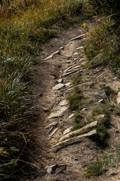 Камни на дорожке возле травянистого поля — стоковое фото