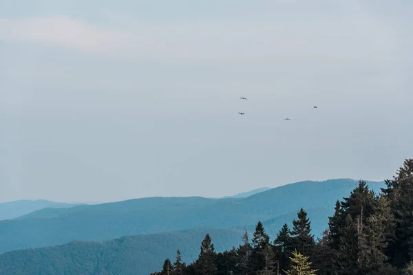 Silhouette pittoresque et bleue des montagnes à l'extérieur — Photo de stock