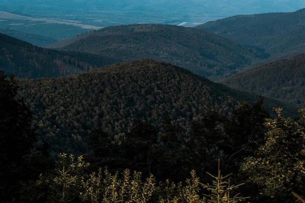 Зелені дерева біля гірської долини на тлі неба — стокове фото