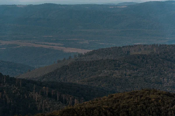 Selective focus of green trees on hills — Stock Photo