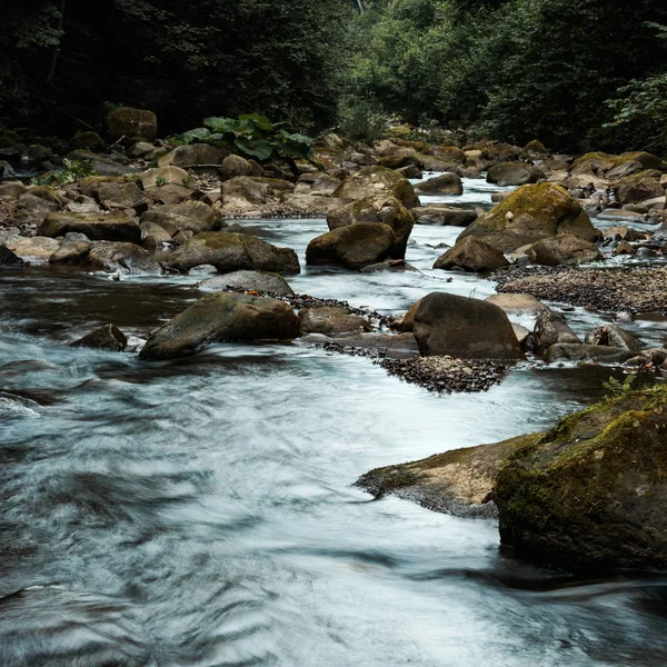 Piedras húmedas cerca del arroyo que fluye y árboles verdes - foto de stock