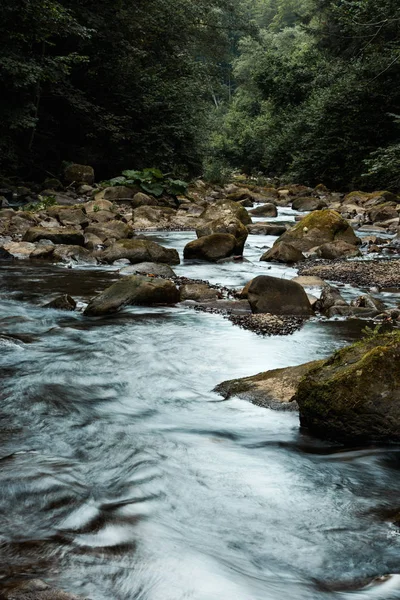 Мокрые скалы возле ручья и зеленые деревья в лесу — стоковое фото