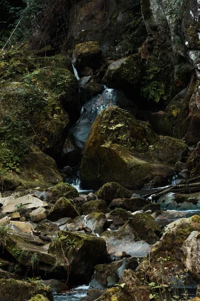 Muffa sulle rocce vicino al ruscello che scorre nella foresta — Foto stock