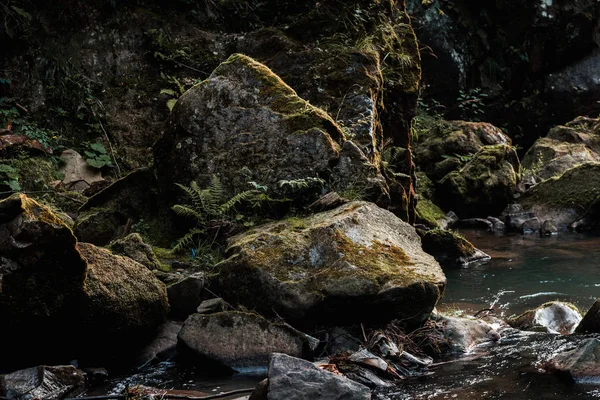 Torrente che scorre vicino a rocce bagnate con muffa verde — Foto stock
