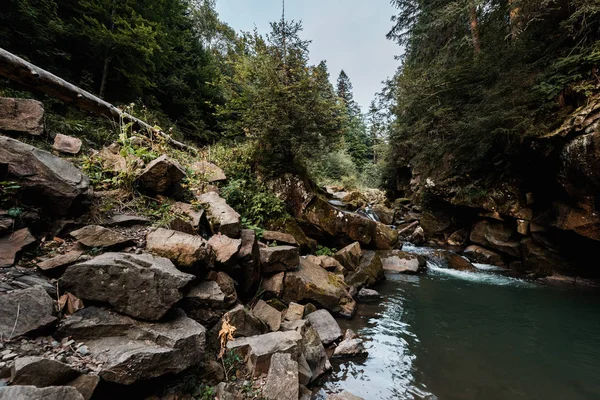 Moho en rocas cerca del lago y árboles verdes en el bosque - foto de stock