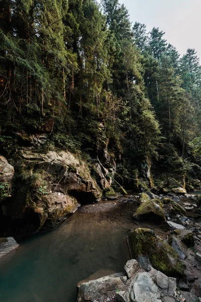 Moisissure sur les rochers près du lac et les arbres verts dans le parc — Photo de stock