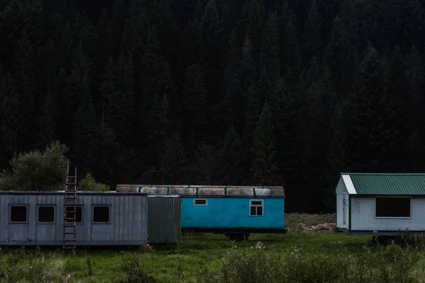 Herbe verte et fraîche près des maisons et des arbres — Photo de stock