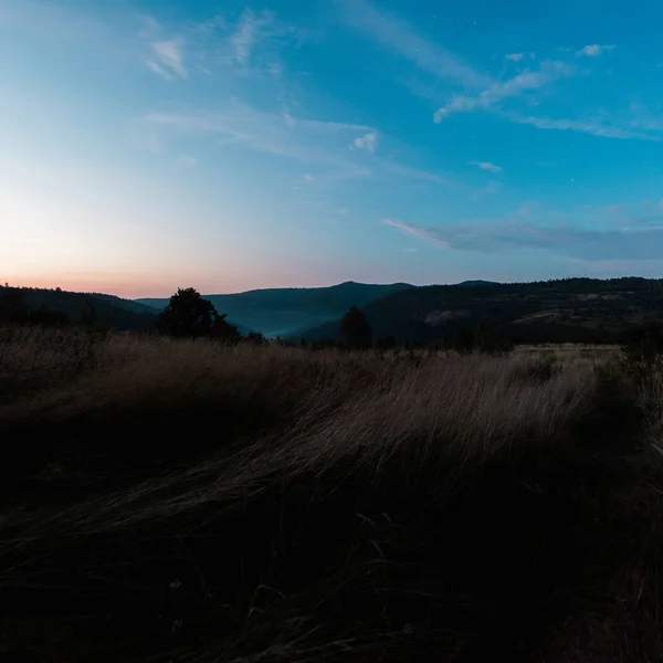 Coucher de soleil dans la forêt contre ciel bleu avec nuages — Photo de stock