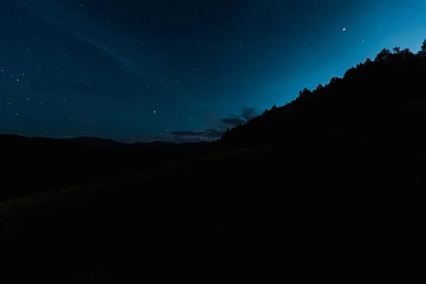 Cielo con stelle brillanti vicino agli alberi di notte — Foto stock