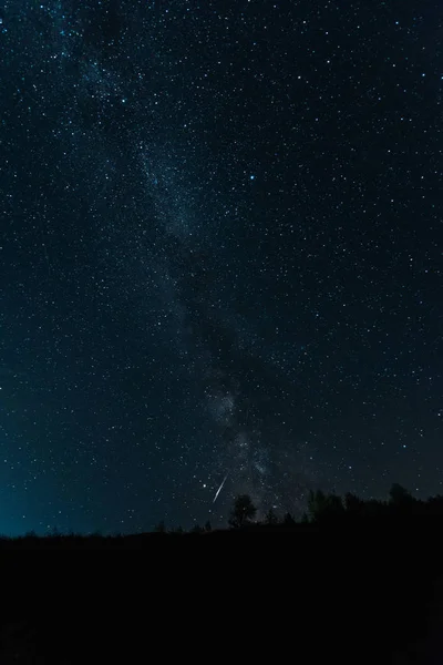 Vía láctea en el cielo en el bosque oscuro por la noche - foto de stock