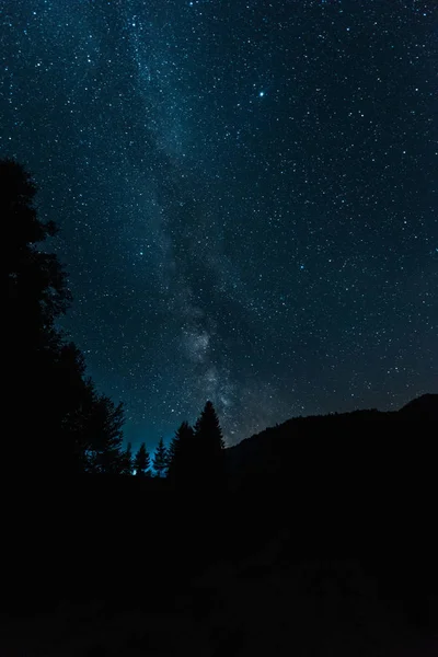 Caminho leitoso no céu azul em florestas à noite — Fotografia de Stock