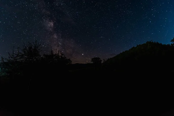 Céu noturno com estrelas brilham na floresta à noite — Fotografia de Stock