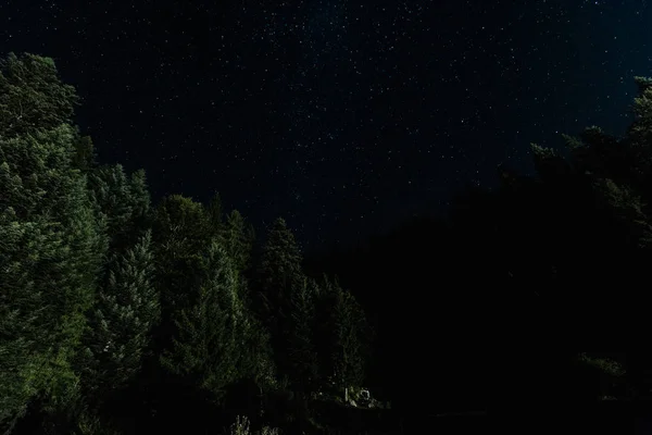 Vista de ángulo bajo de la cama cerca de las estrellas brillan por la noche - foto de stock