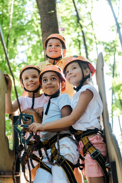Niños multiculturales positivos mirando hacia arriba en el parque de aventuras fuera - foto de stock
