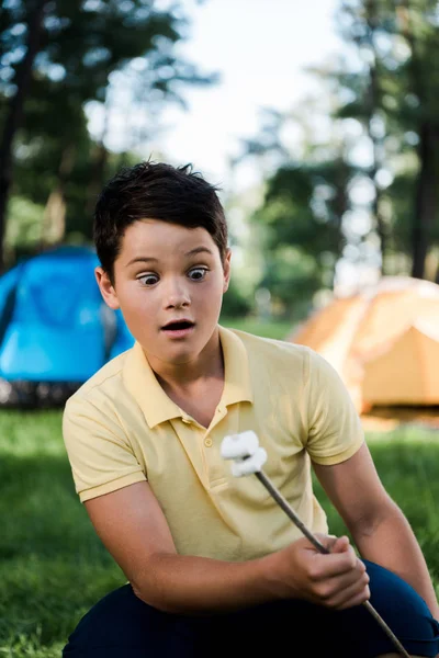 Menino surpreso segurando pau com doces marshmallows perto de acampamentos — Fotografia de Stock