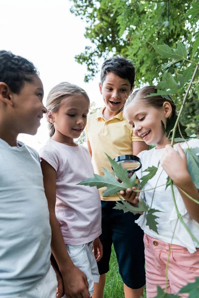 Niños multiculturales felices mirando hojas verdes aunque lupa - foto de stock