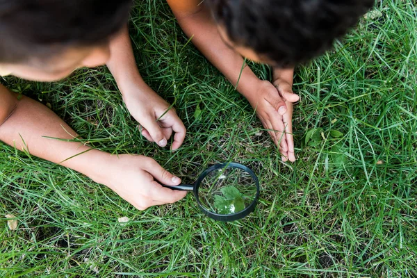Top view of multicultural boys lying on grass and looking through magnifier — Stock Photo