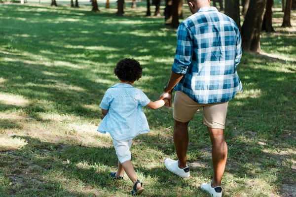 Back view of african american father and son walking and holding hands in park — Stock Photo